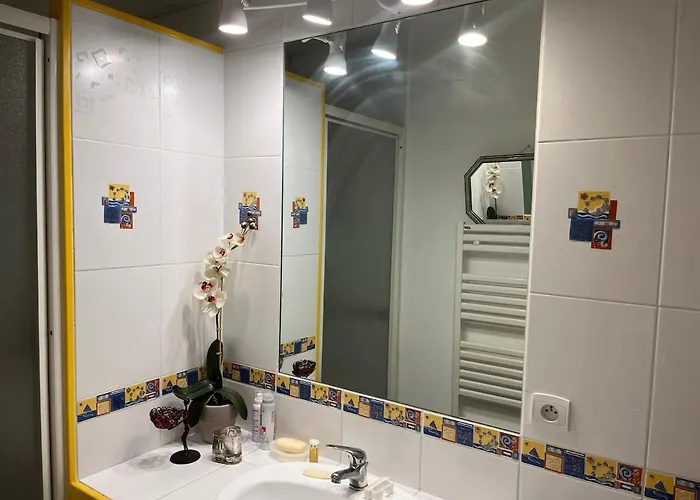 Le Goeland آركاشو